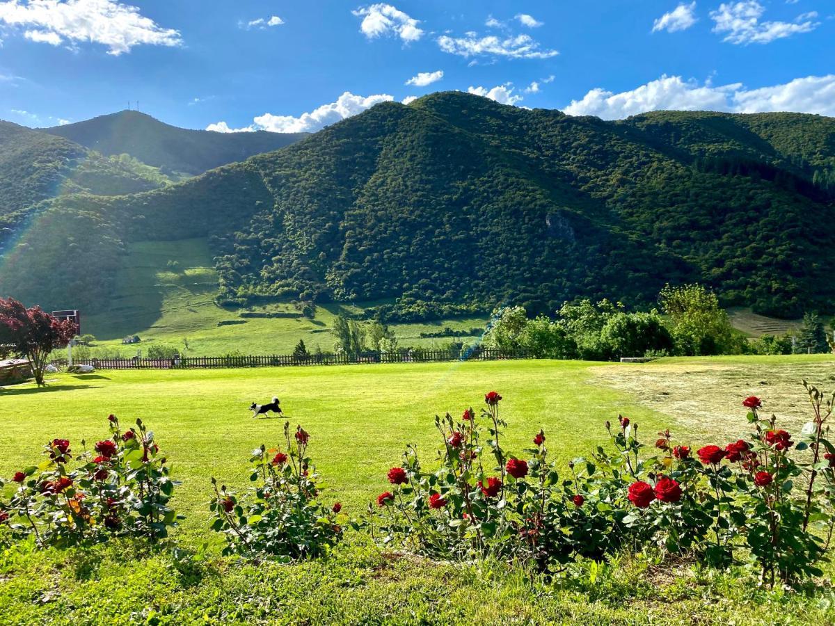 Casa Rural Alquitara Ojedo Εξωτερικό φωτογραφία